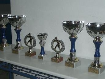 Fourni