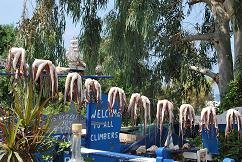 Kalymnos, Carla de Goede