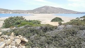 Rhodos Prassonissi