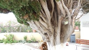 Rhodos Apolakkia