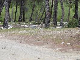 Salamis Greece, Griekenland