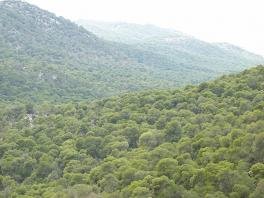 Salamis Greece, Griekenland