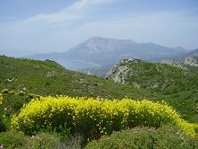Samos