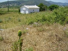 Samos