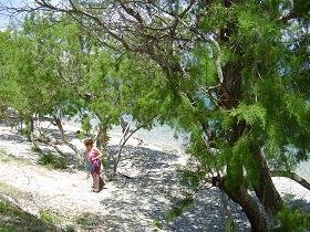 Avlakia Samos