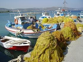 Samos, Ireon