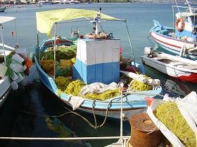 Samos, Ireon