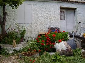 Samos, Mytilini