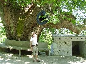 Samos, Nikoloudes