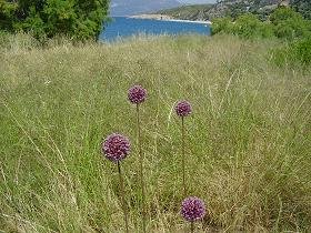 Samos, Perri Beach