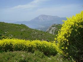 Samos, Pirgos