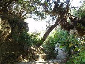 Samos, Psili Amos Beach bij Limnionas