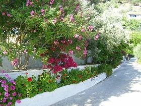 Samos, Psili Amos Beach bij Limnionas
