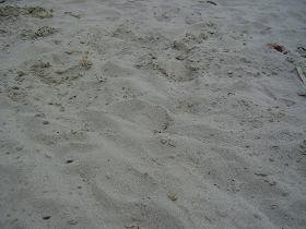 Samos, Psili Amos Beach