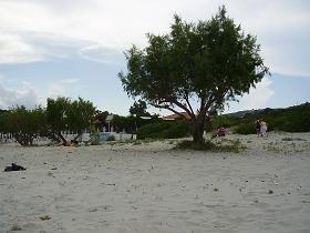 Samos, Psili Amos Beach