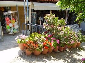 Samos, Kampos Votsalakia beach