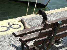 Kanakari Beach, Santorini