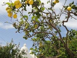 Karterados in Santorini
