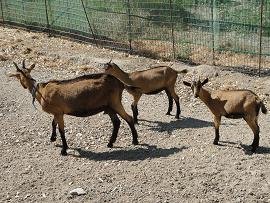 Perissa in Santorini