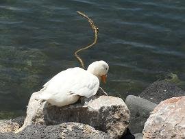 Vlyhada Beach, Santorini