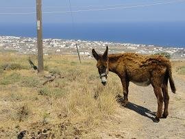 Santorini