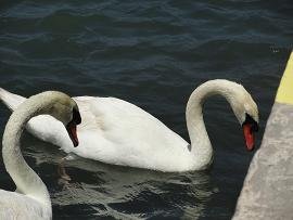 Kanakari Beach, Santorini