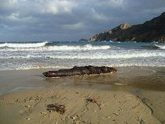 Serifos, Psili Amos Beach