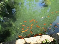 Agios Dimitrios Monastery, Skyros