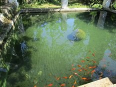 Agios Dimitrios Monastery, Skyros