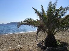 Acherounes beach, Skyros