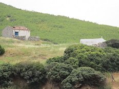 Agios Fokas beach, Skyros