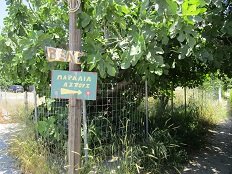 Aspous beach, Skyros