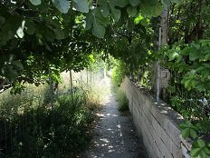 Aspous beach, Skyros