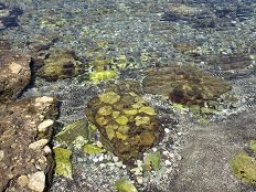 Atsitsa beach, Skyros