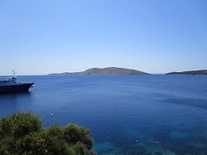 Linaria, Skyros