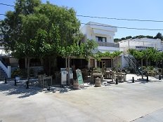 Magari, Linaria, Skyros
