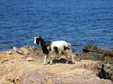 Kyra Panagia beach, Skyros