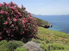 Kalamitsa beach, Skyros