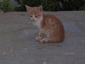 Tinos Griekenland, Tinos Greece