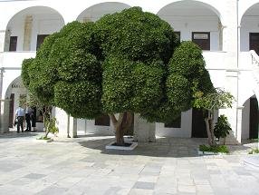 The Panagia Evangelistria Church on Tinos in Greece, de kerk in Tinos Stad in Griekenland