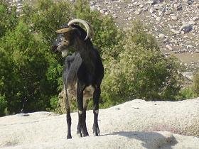Tinos Greece, Tinos Griekenland